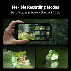 Reolink Camovue Talon Pro: 4K 4G LTE Game and Trail Camera with Live View & Starlight Night Vision