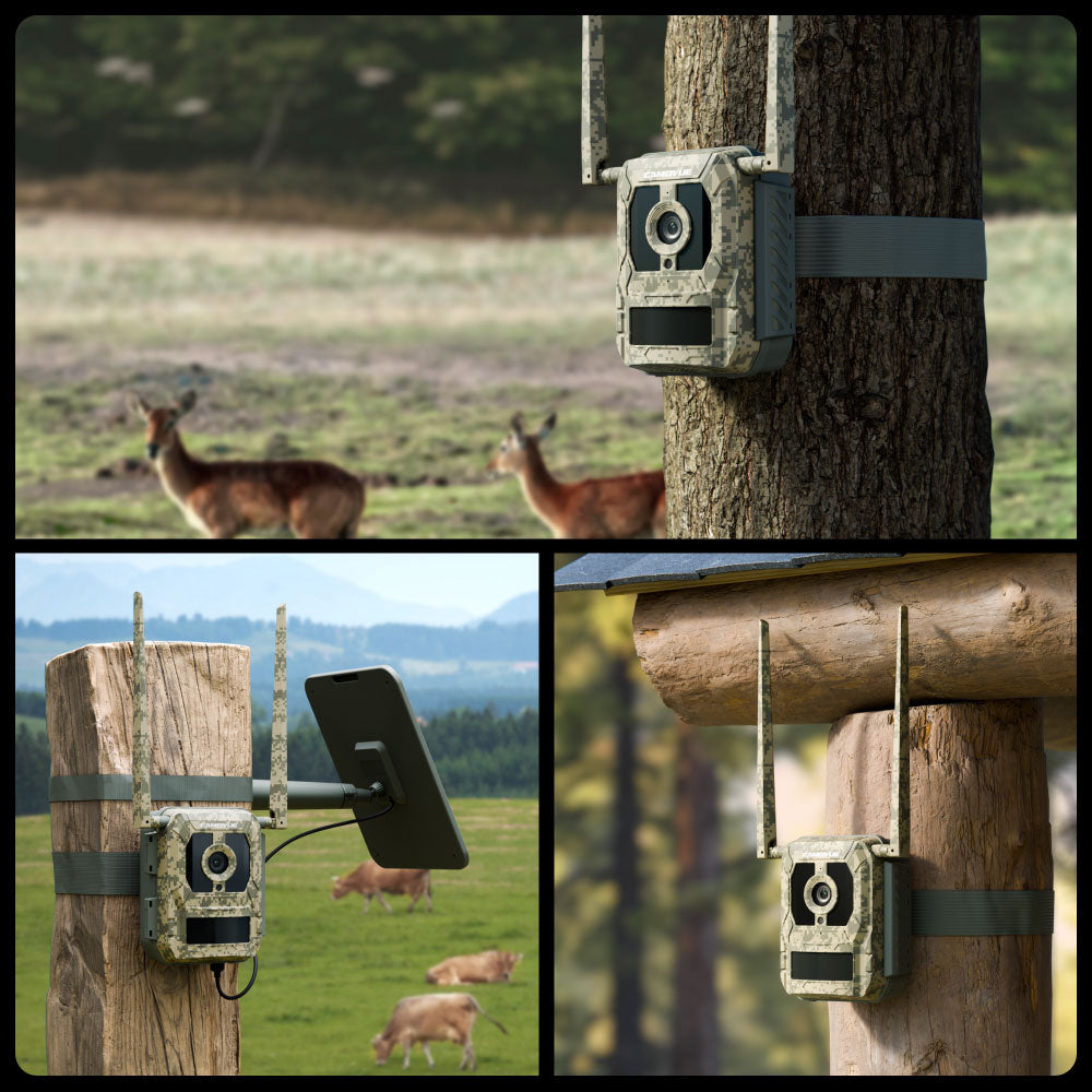 Reolink Camovue Talon Pro: 4K 4G LTE Game and Trail Camera with Live View & Starlight Night Vision