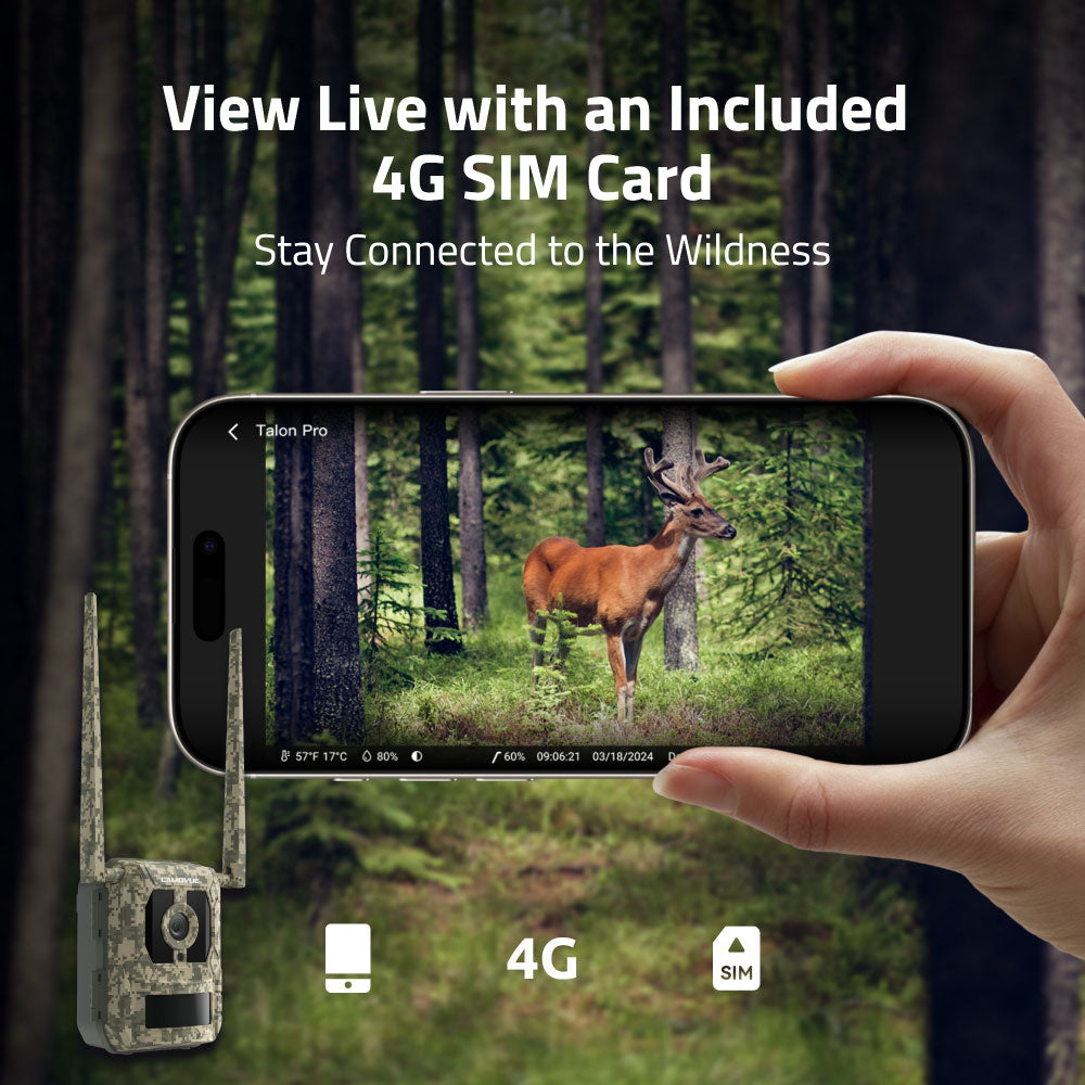 Reolink Camovue Talon Pro: 4K 4G LTE Game and Trail Camera with Live View & Starlight Night Vision