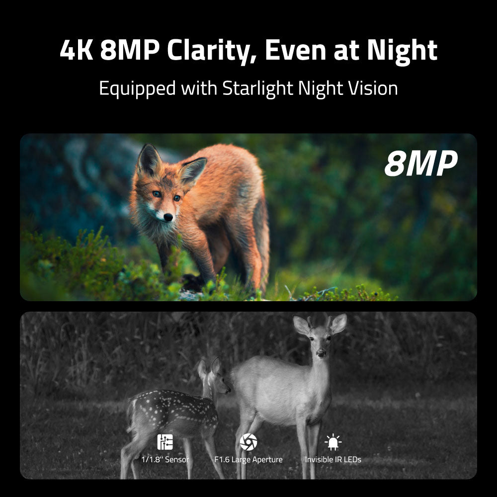 Reolink Camovue Talon Pro: 4K 4G LTE Game and Trail Camera with Live View & Starlight Night Vision